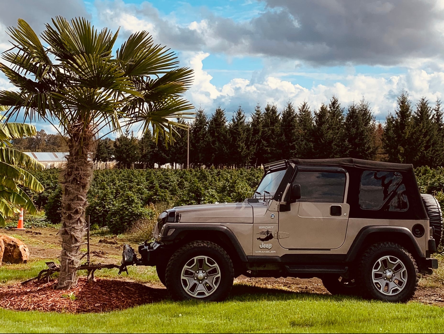 Bestop Jeep Wrangler Supertop NX Soft Top w/ Tinted Windows