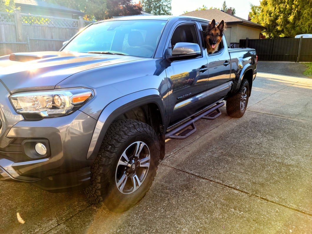 RedRock Predator Side Step Bars (0523 Double Cab) RedRock